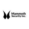 @mammothsecuritynewhaven