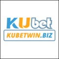 @kubetwinbiz