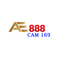 @ae888cam169