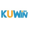 @kuwinvnpro