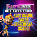 rute303