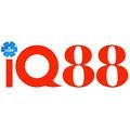 @iq88org