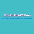 @cauloto247com