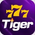 @777tigernet