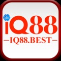 @iq88best