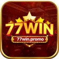 @77winpromo