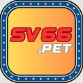 @sv66pet