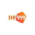 @df999vnpro