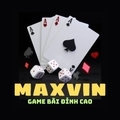 @maxvinorg