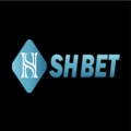 @shbet288club