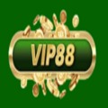 @vip88ing
