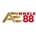 @ae88fmmulu