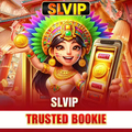 @slvipsbs