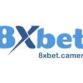 @8xbetcamera