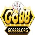 @go8888org