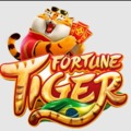 @fortunetiger777com