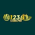 @123b6pro