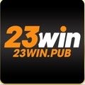 @23winpub