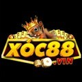 @xoc88vin
