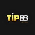 @nhacaitip88org
