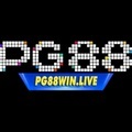 @pg88winlive