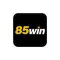 @85windigital