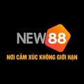 @new88cab