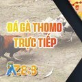 @dagaaz888