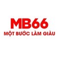 @mb66trading