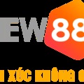 @new88supply