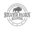 Silver Horn Roofing