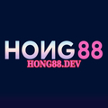 @hong88dev