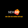 @new88supply1