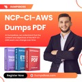 @ncp-ci-awsdumps-pdf