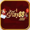 @hay88ceo