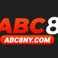 @abc8nycom