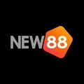 @new88today2