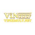 @vinixmultnet