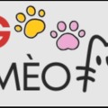 @blogchomeoinfo