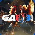 @ga888click