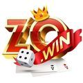 @zowinapporg