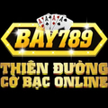 @bay789tech