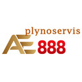@ae888plynoservis