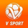 @vsportvinleymarket