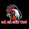 @taixiucanthocom