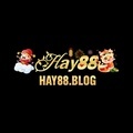 @hay88blog