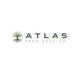 Atlas Tree Service | Austin