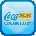 @coca881com