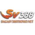 @dagasv388thomonet