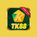 @tk88beauty